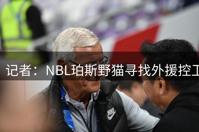 记者：NBL珀斯野猫寻找外援控卫 有意前NBA球员布兰登·奈特